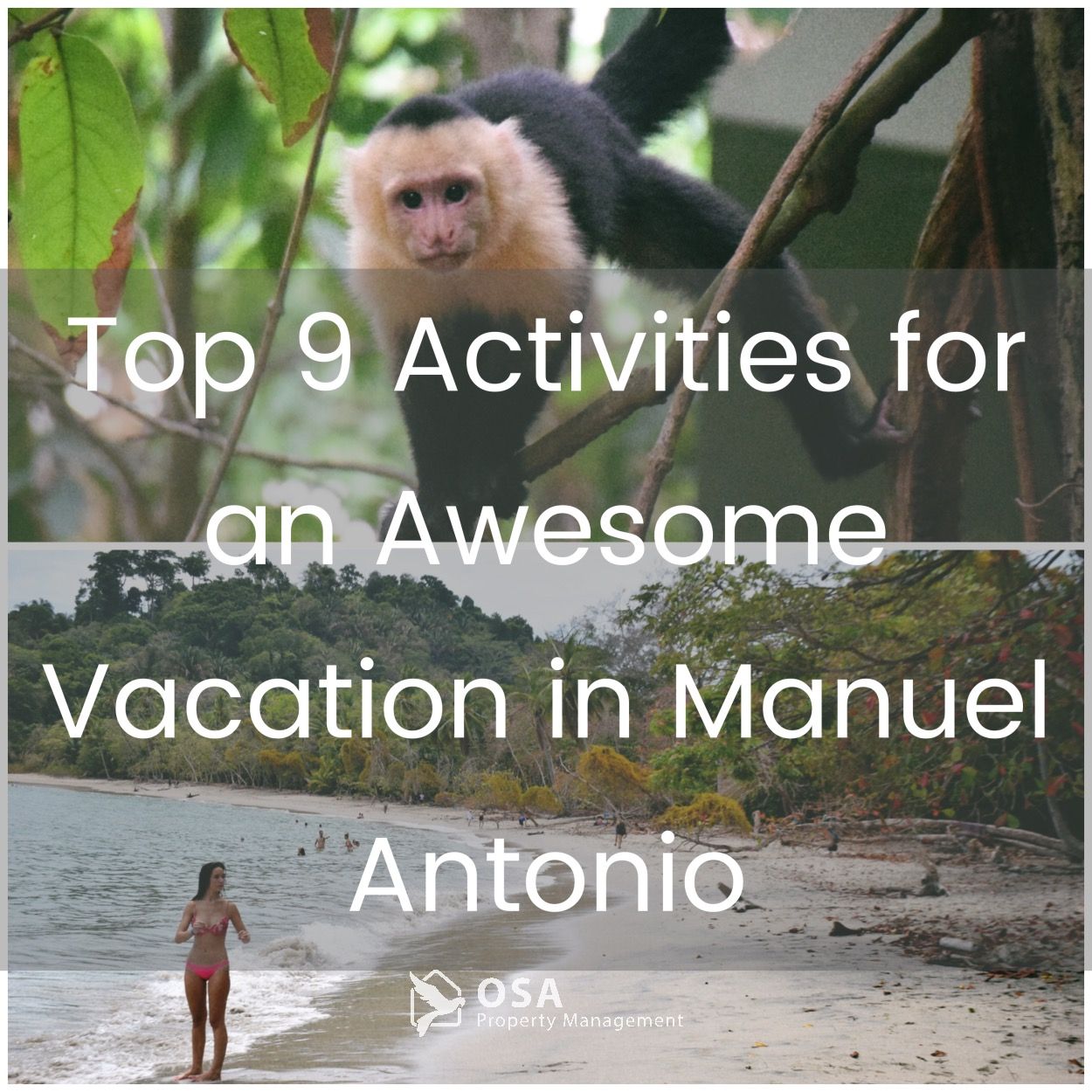 vacation in manuel antonio tips