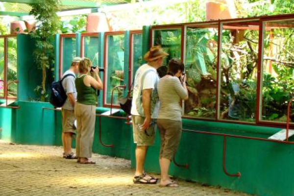 Reptile Tour and botanical garden.