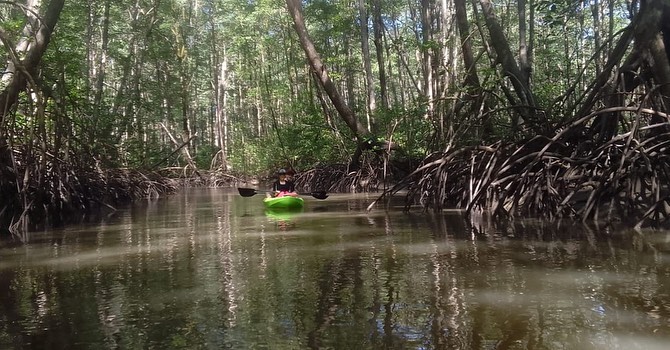 ojochal kayaking 