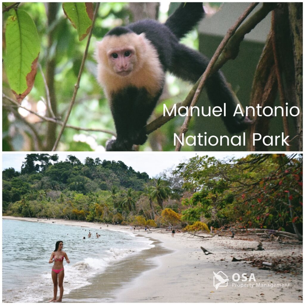 manuel antonio national park 