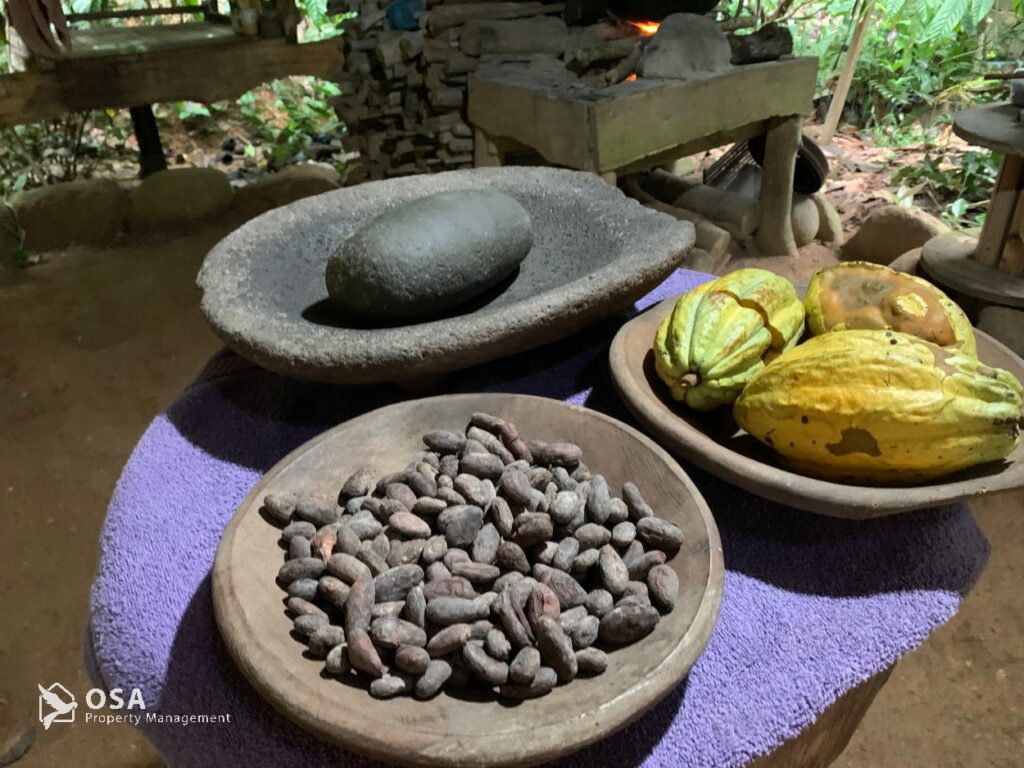 pre-columbian chocolate tour dominical