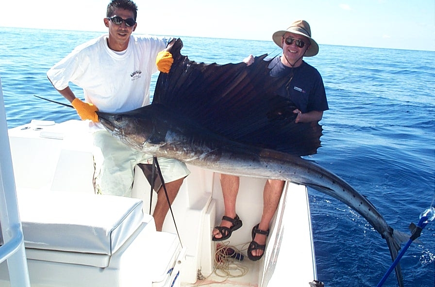 sailfish Costa Rica quepos